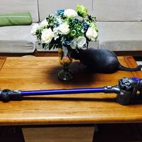 戴森 V8 absolute 手持吸尘器外观展示(电机|开关|集尘器|气旋|吸头)