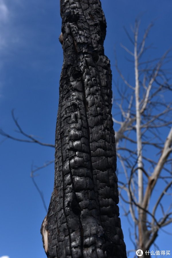 我们17去美西(游记篇) 篇二:犹他州、科罗拉多