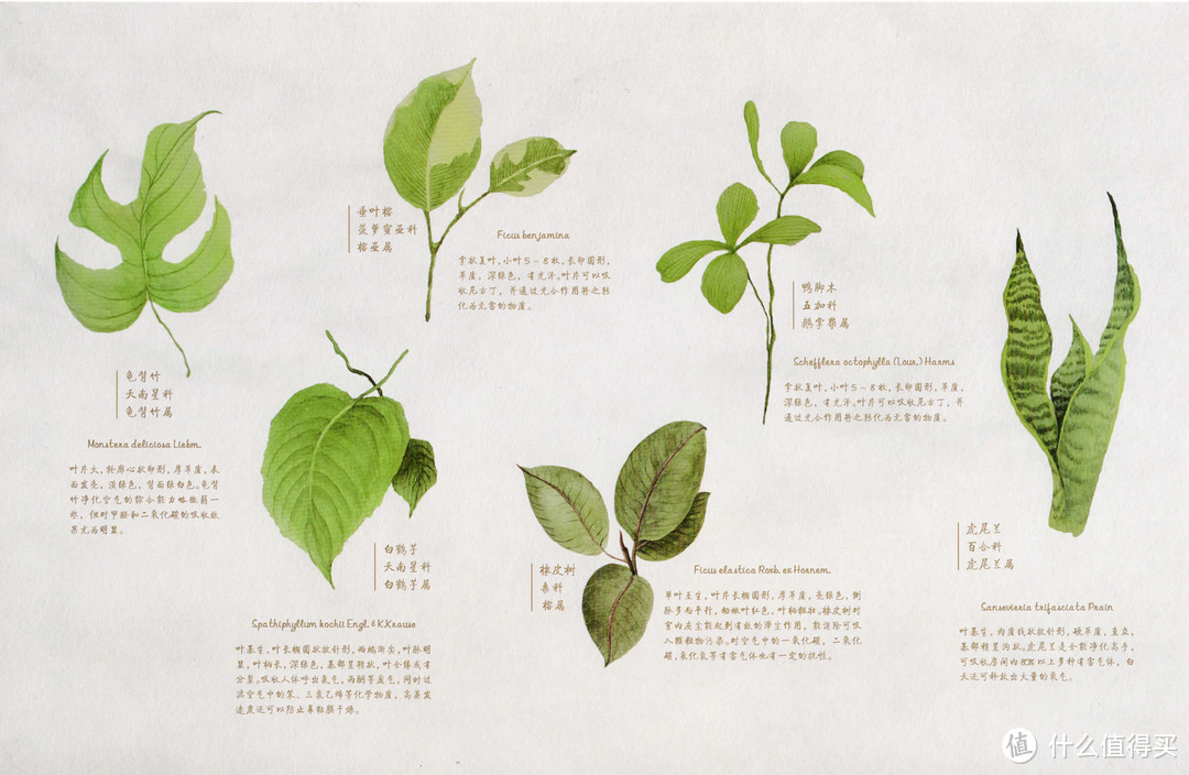 张大妈送的618的礼物—EraClean车载空气净化器