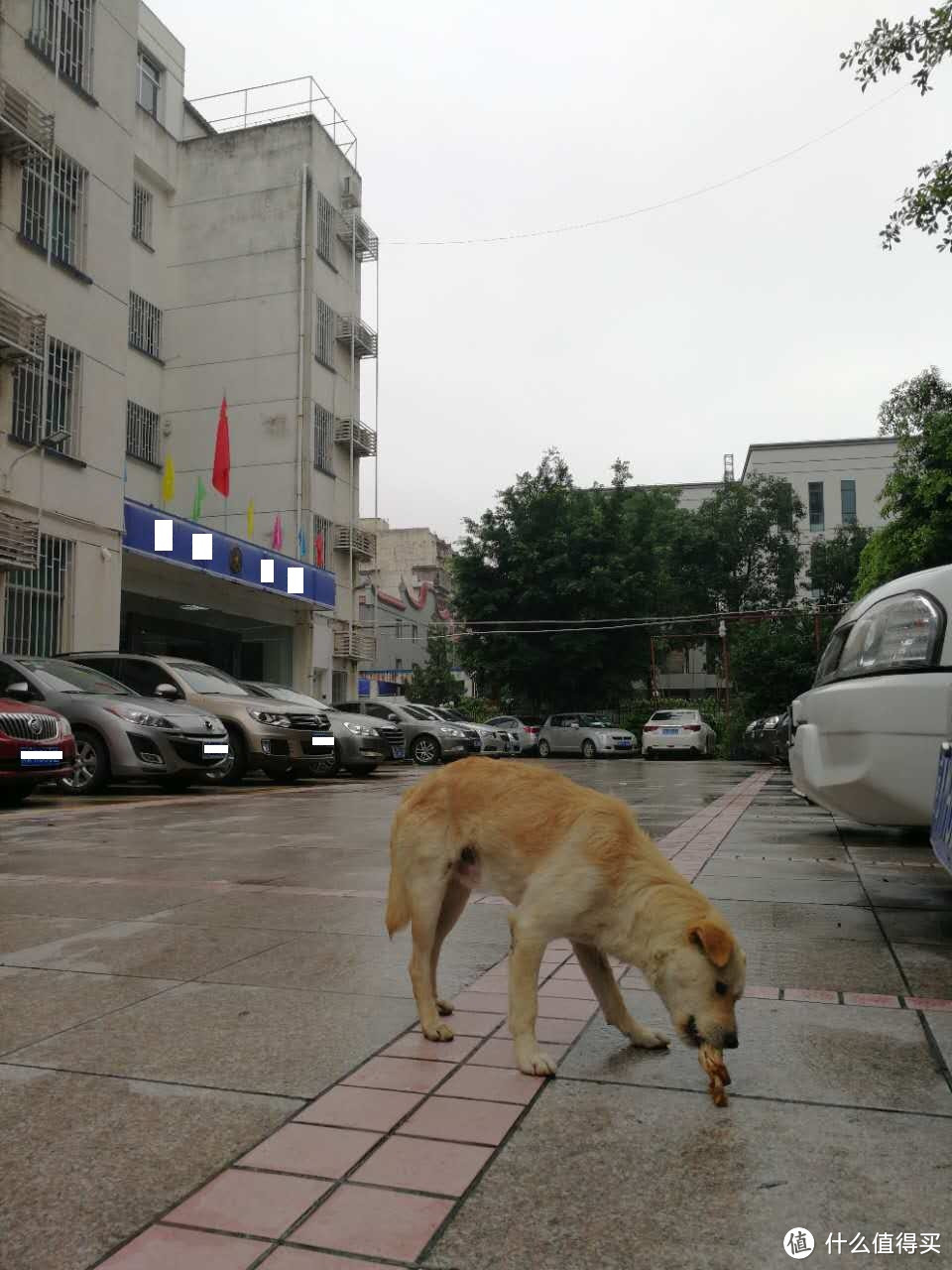 我的十年之旅：江浙沪自由行