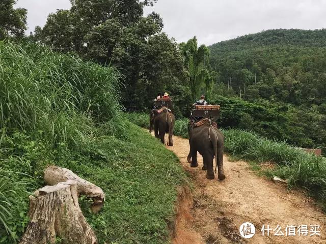 慢游清迈：静谧古城发现你的美