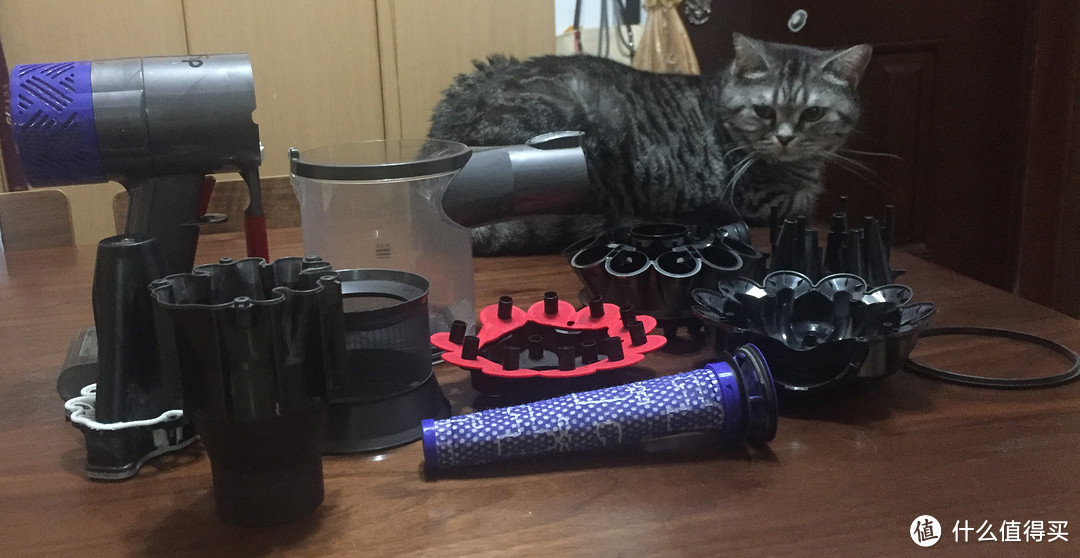 Dyson 戴森 吸尘器 V6 ANIMAL+拆解清理