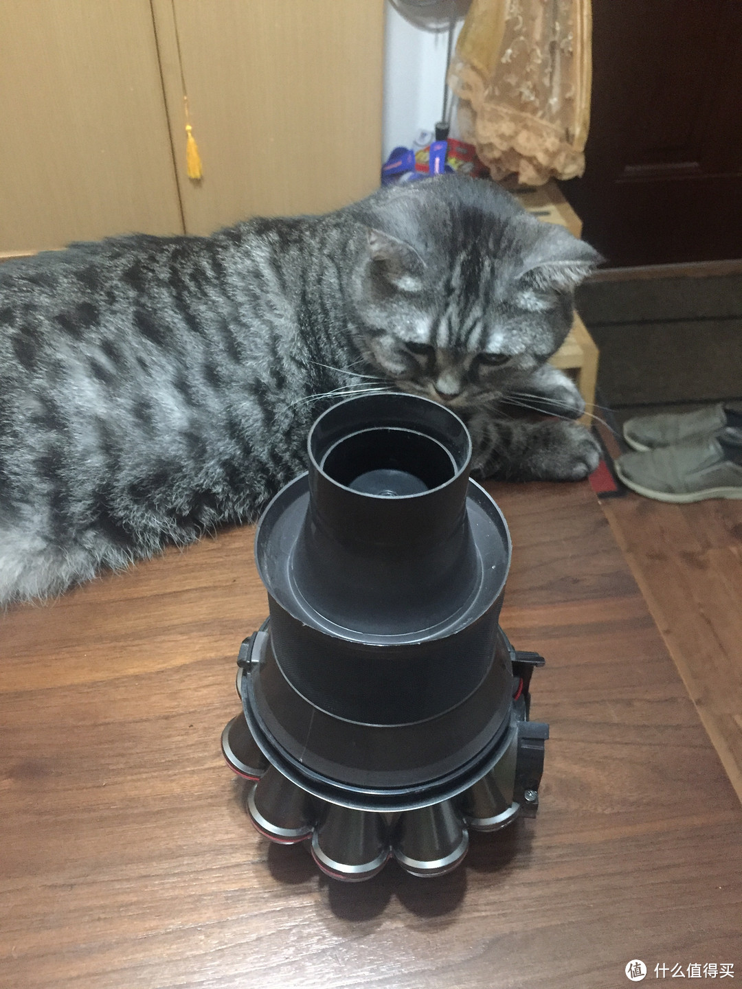 Dyson 戴森 吸尘器 V6 ANIMAL+拆解清理