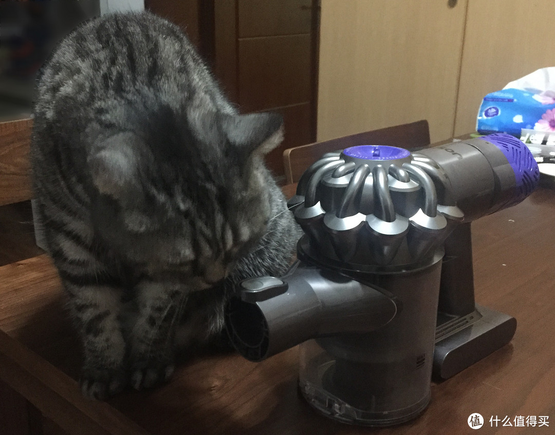 Dyson 戴森 吸尘器 V6 ANIMAL+拆解清理