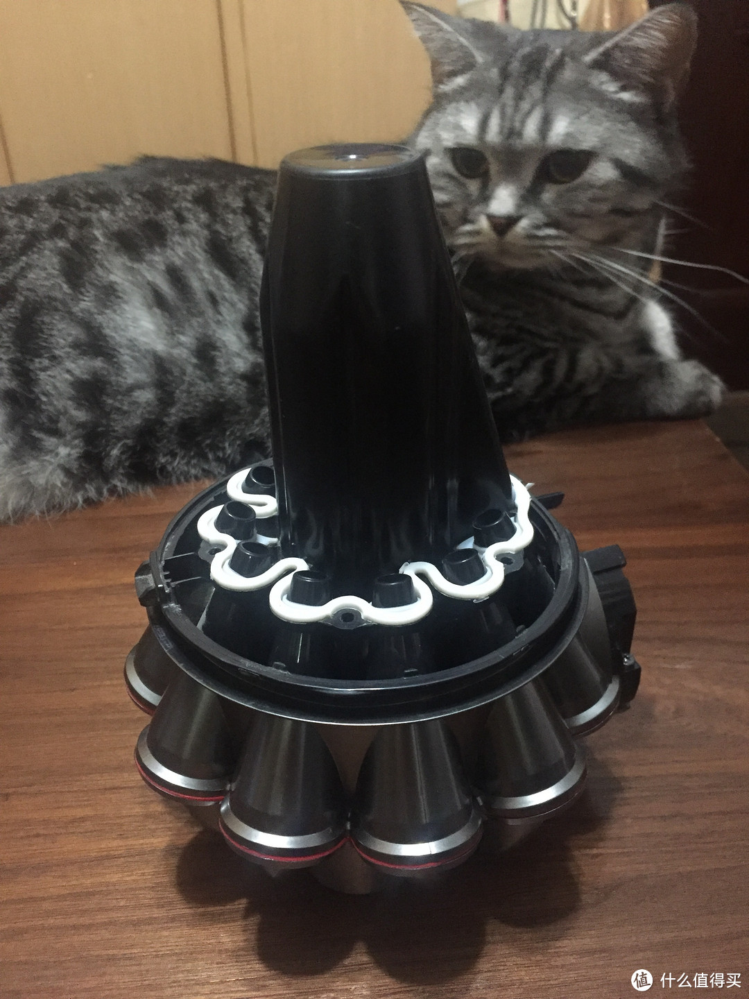 Dyson 戴森 吸尘器 V6 ANIMAL+拆解清理