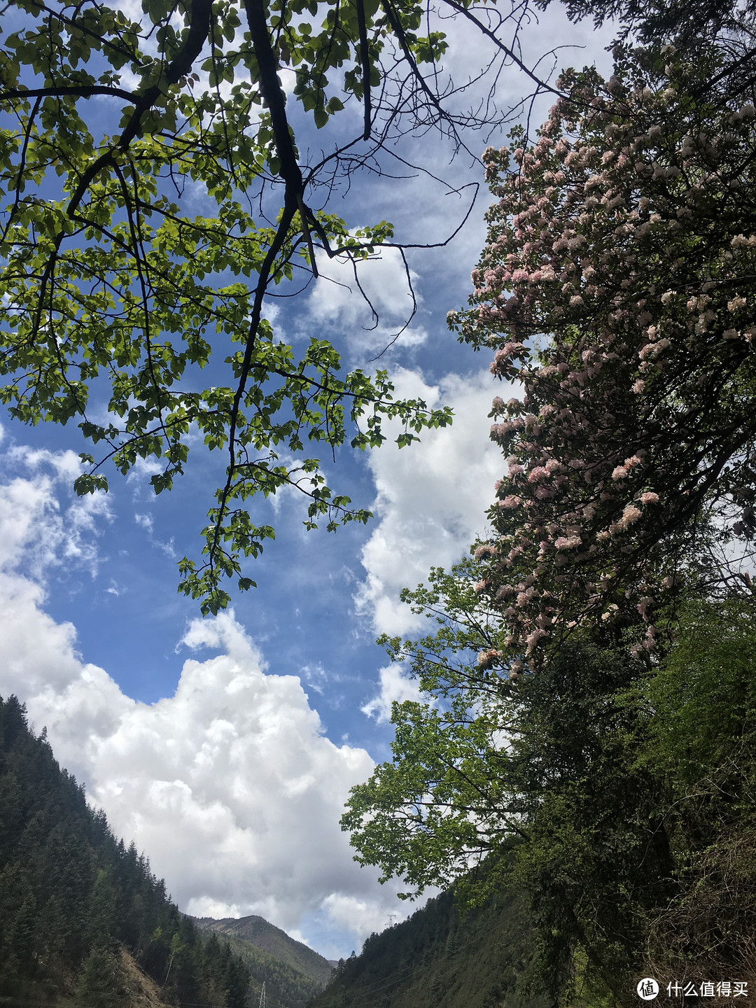 318最美风景在川西