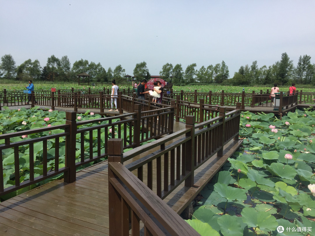 又一次花不出去钱的湿地旅游—安邦河国家湿地公园