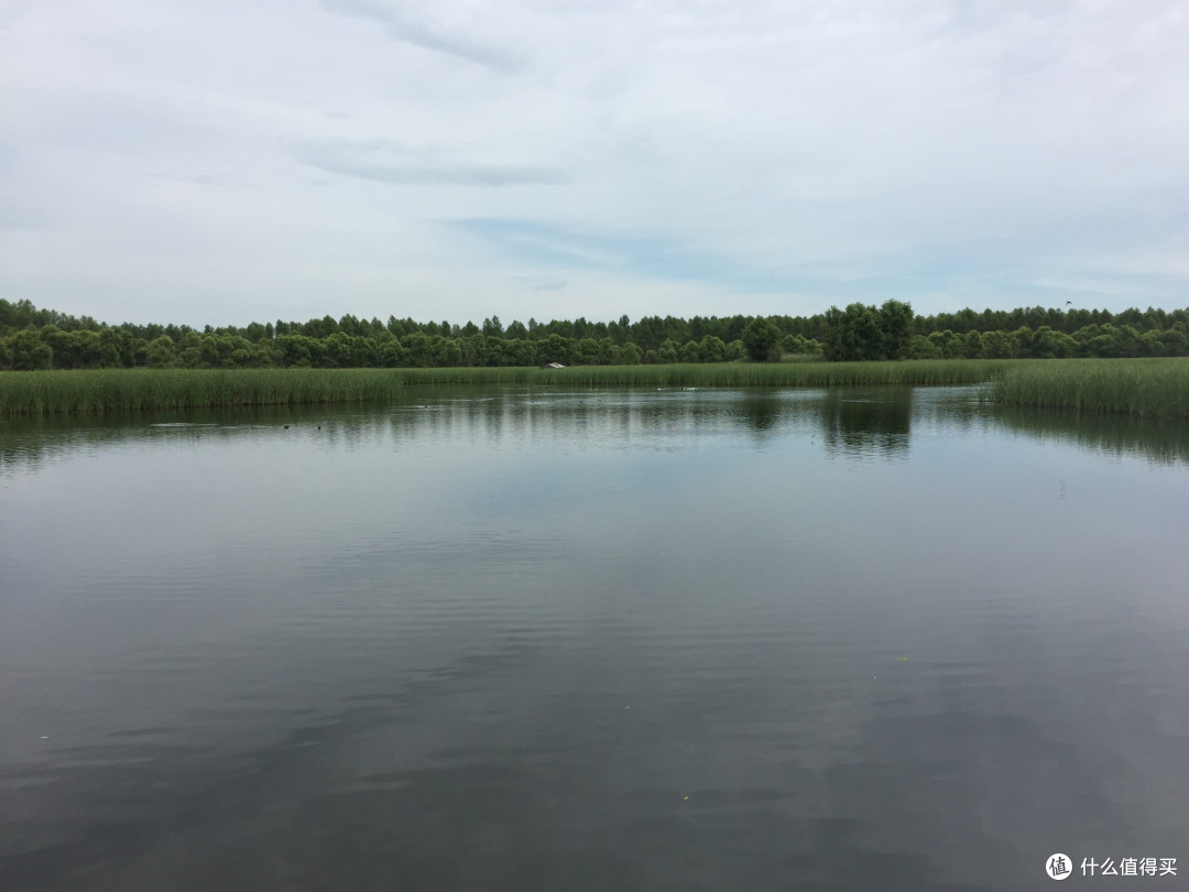 又一次花不出去钱的湿地旅游—安邦河国家湿地公园