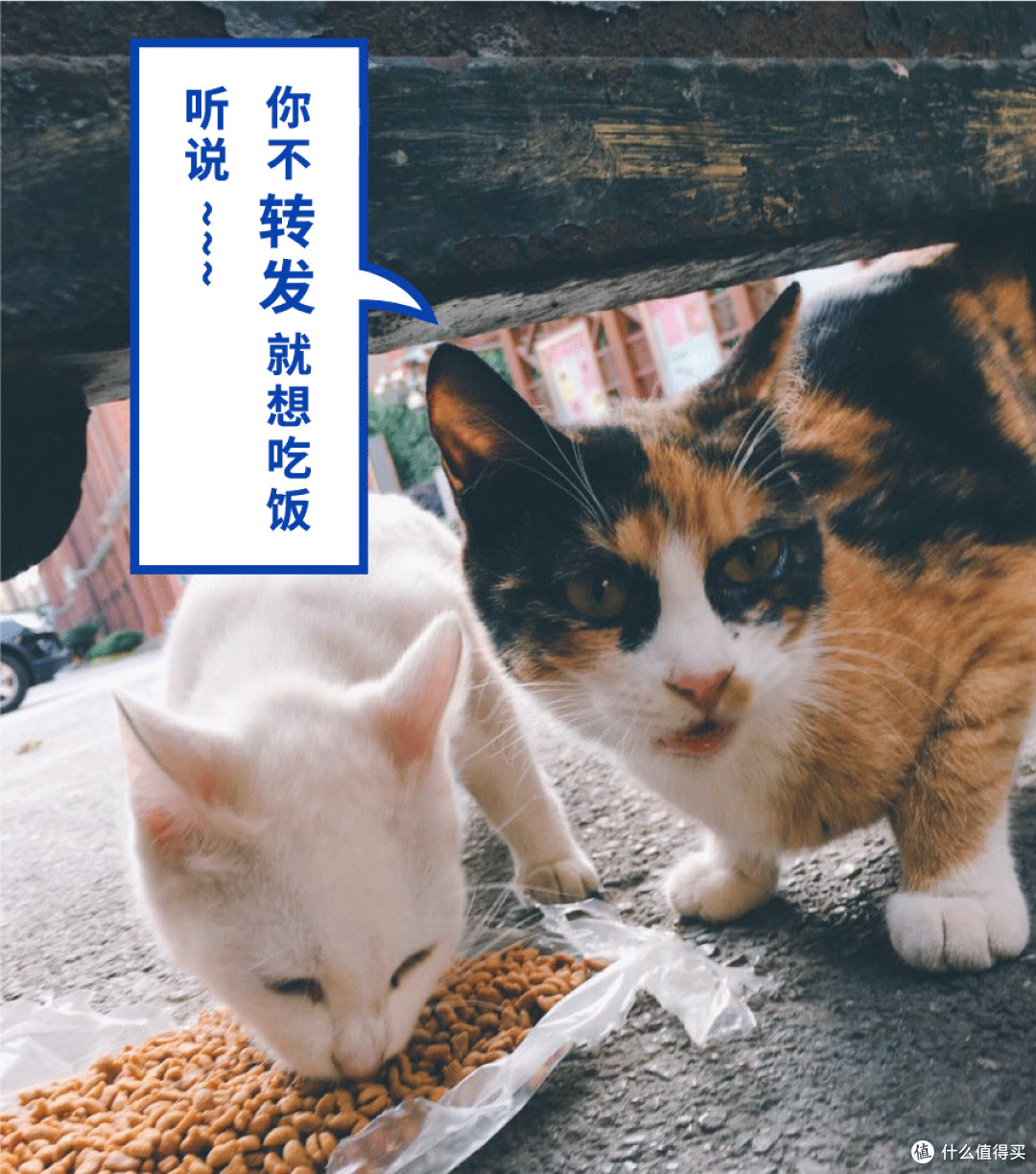 人均五六十的麻辣烫，到底值不值？