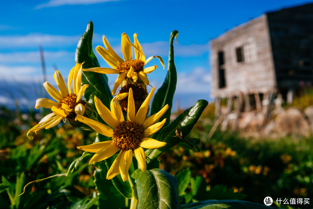 Photo by Scott Grant | X-T2 | XF18-55mmF2.8-4 R LM OIS | F11