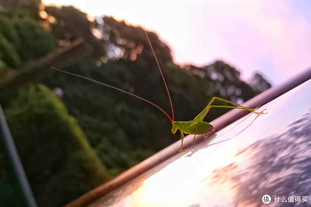 七夕开房指南 | 伊豆山上，大海之畔! 一泊二食之海景露天風呂