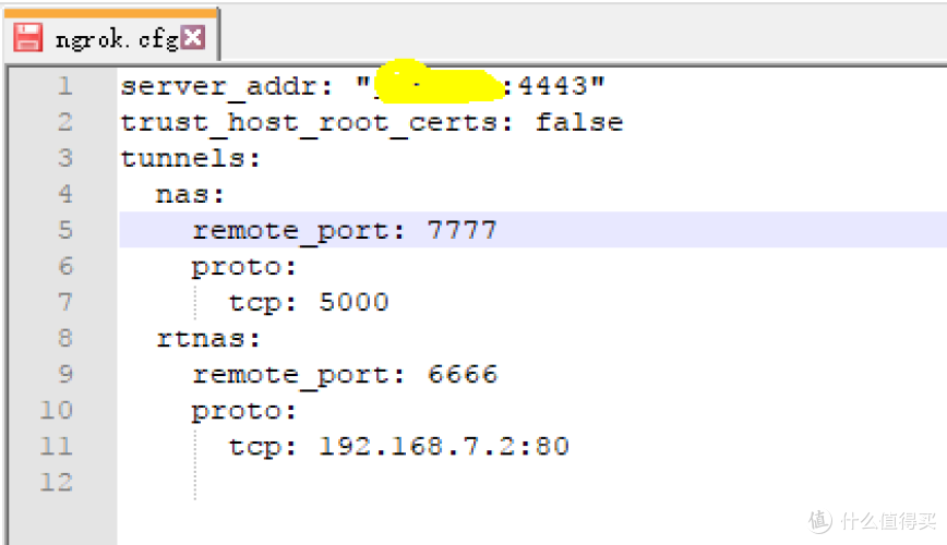 #原创新人#搭建ngrok服务器实现内网穿透-黑群