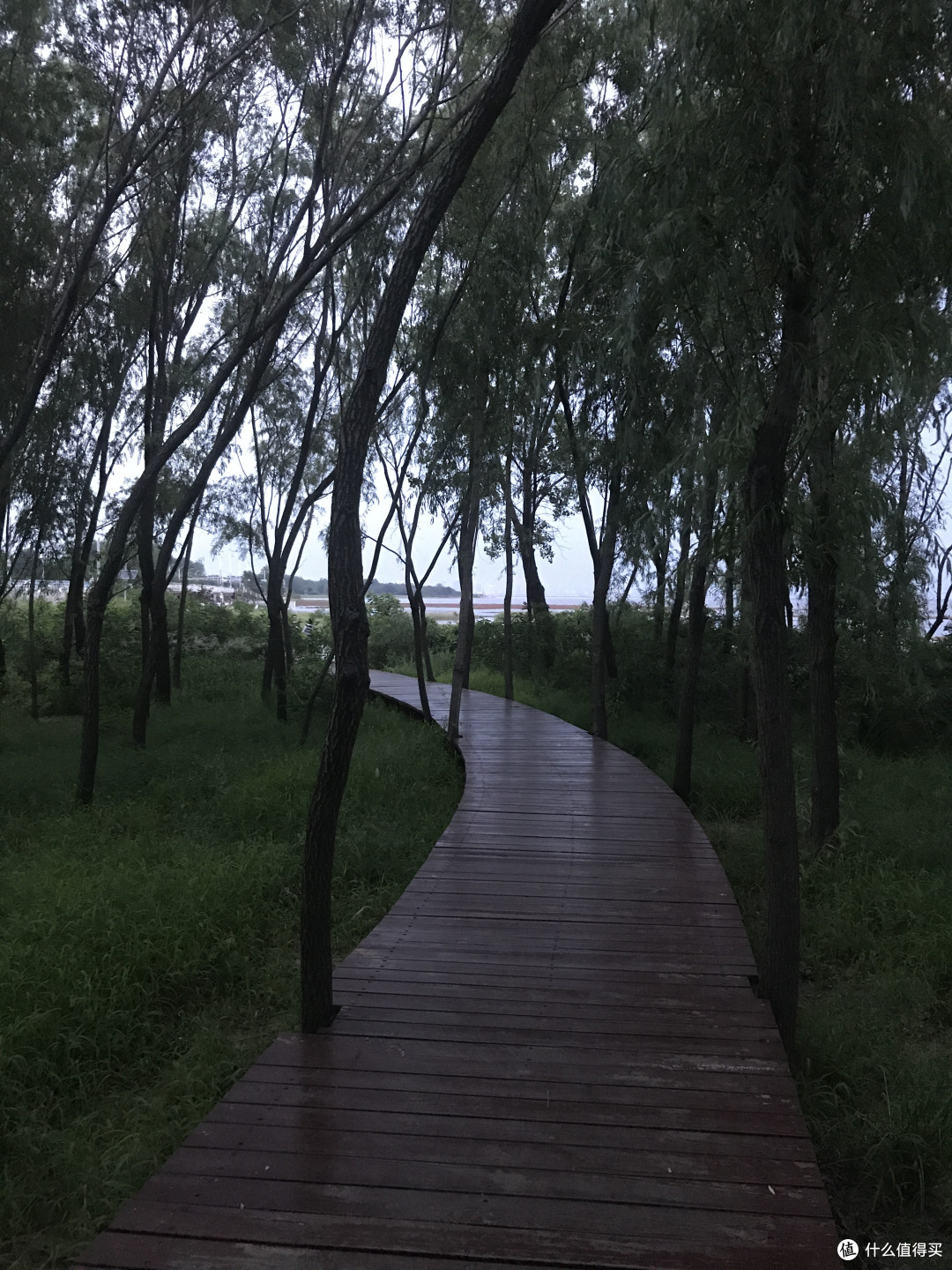 北戴河游记，张大妈福利之旅 — 周末2800住别墅楼