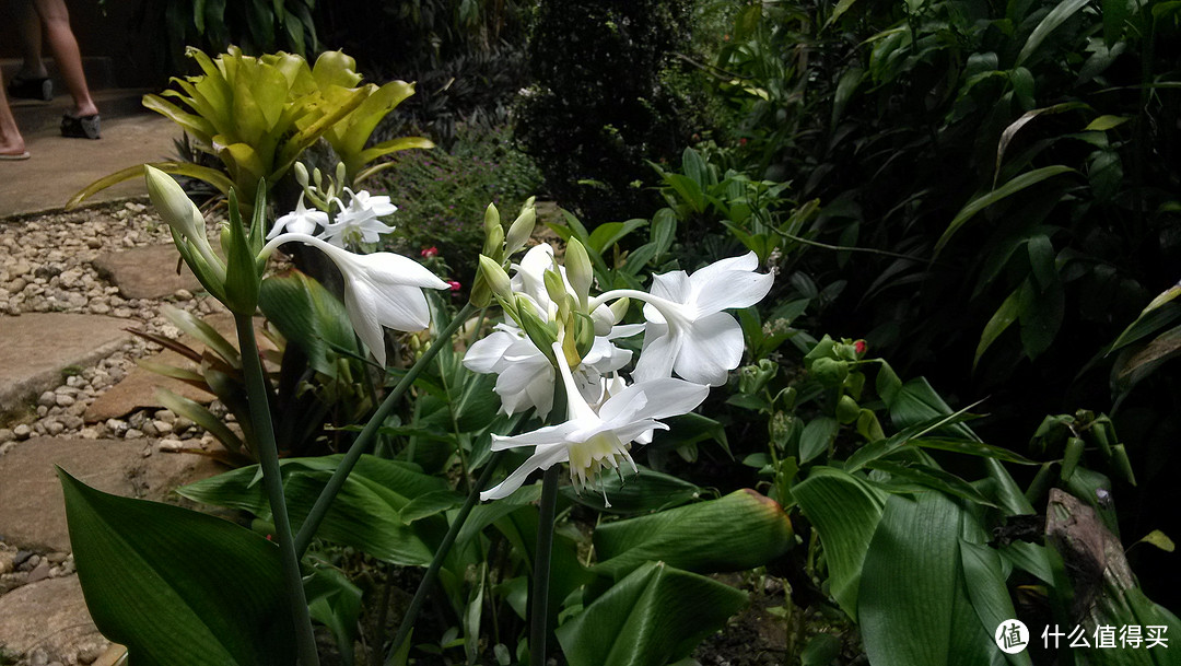 三千元玩转菲律宾薄荷岛