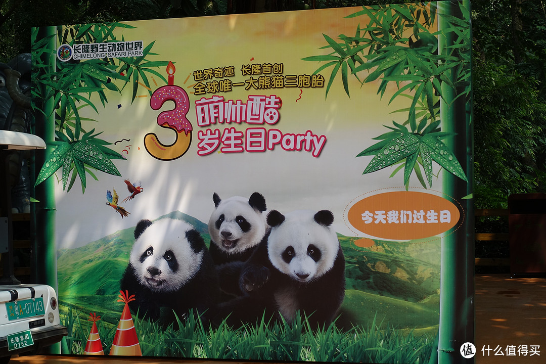 广州剁成立啦！长隆熊猫三胞胎生日Party线下活动记录