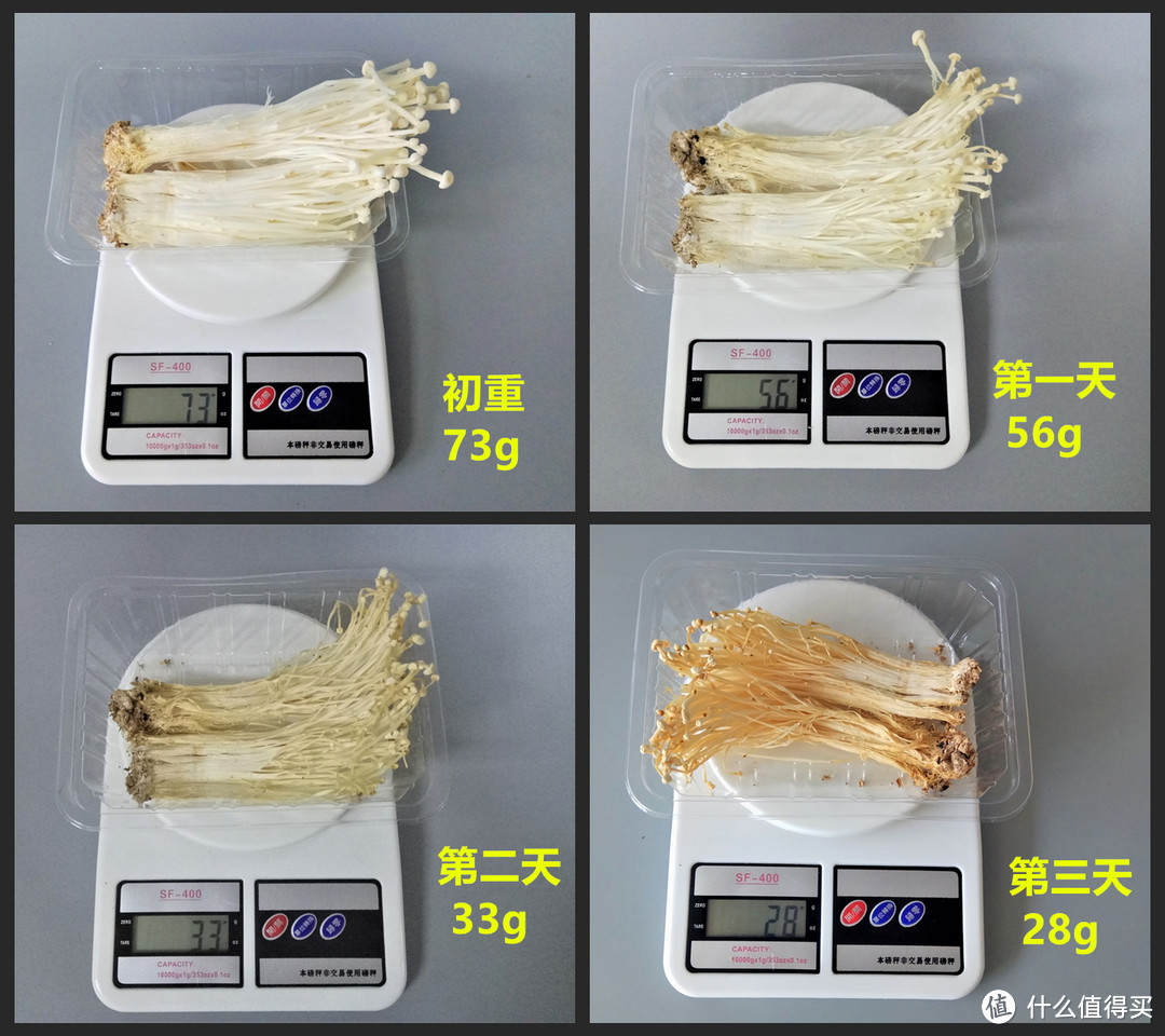 零度保鲜究竟有多神奇？生活家深度体验西门子零度Plus对开门冰箱