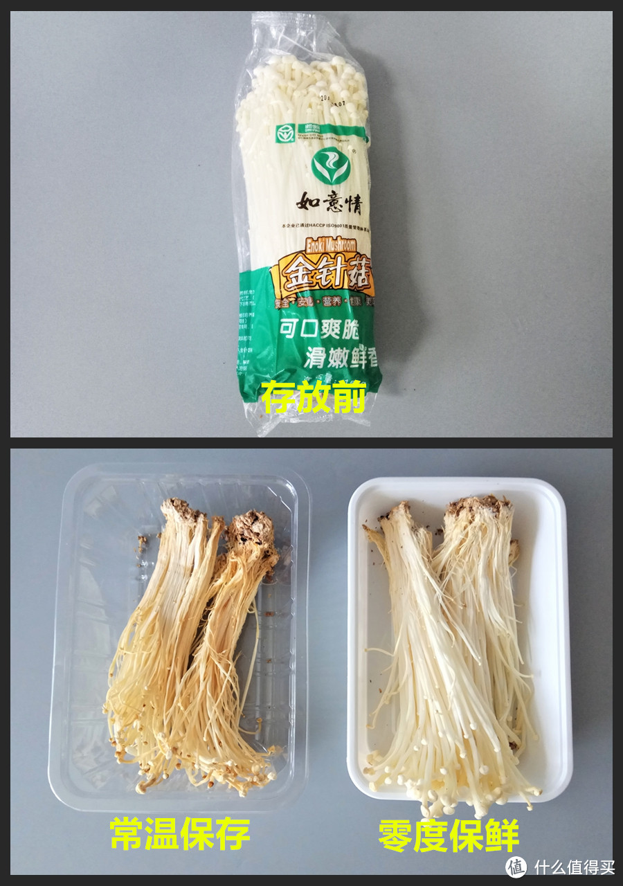 零度保鲜究竟有多神奇？生活家深度体验西门子零度Plus对开门冰箱