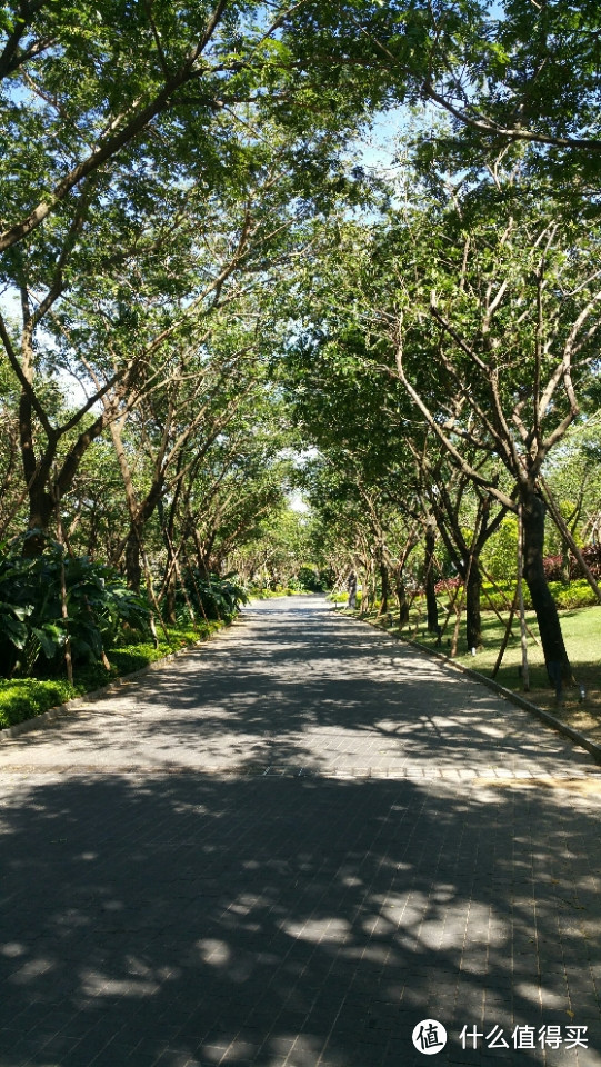 台风天全家去三亚避暑，不一样的惊喜