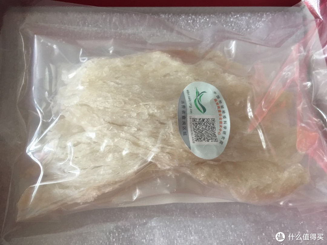 开局一个碗一个电饭煲，燕窝全靠双手煮？结尾福利