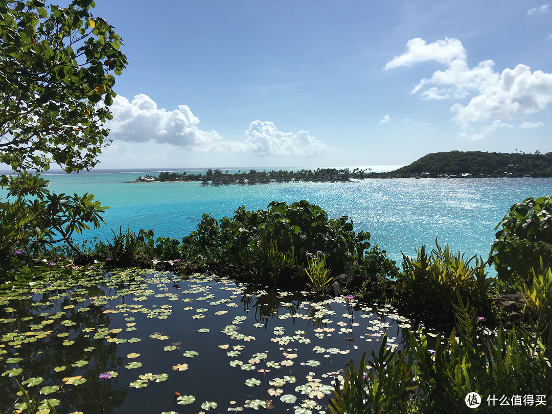 Bora Bora，最接近天堂的海岛（下）— 索菲特私人岛屿