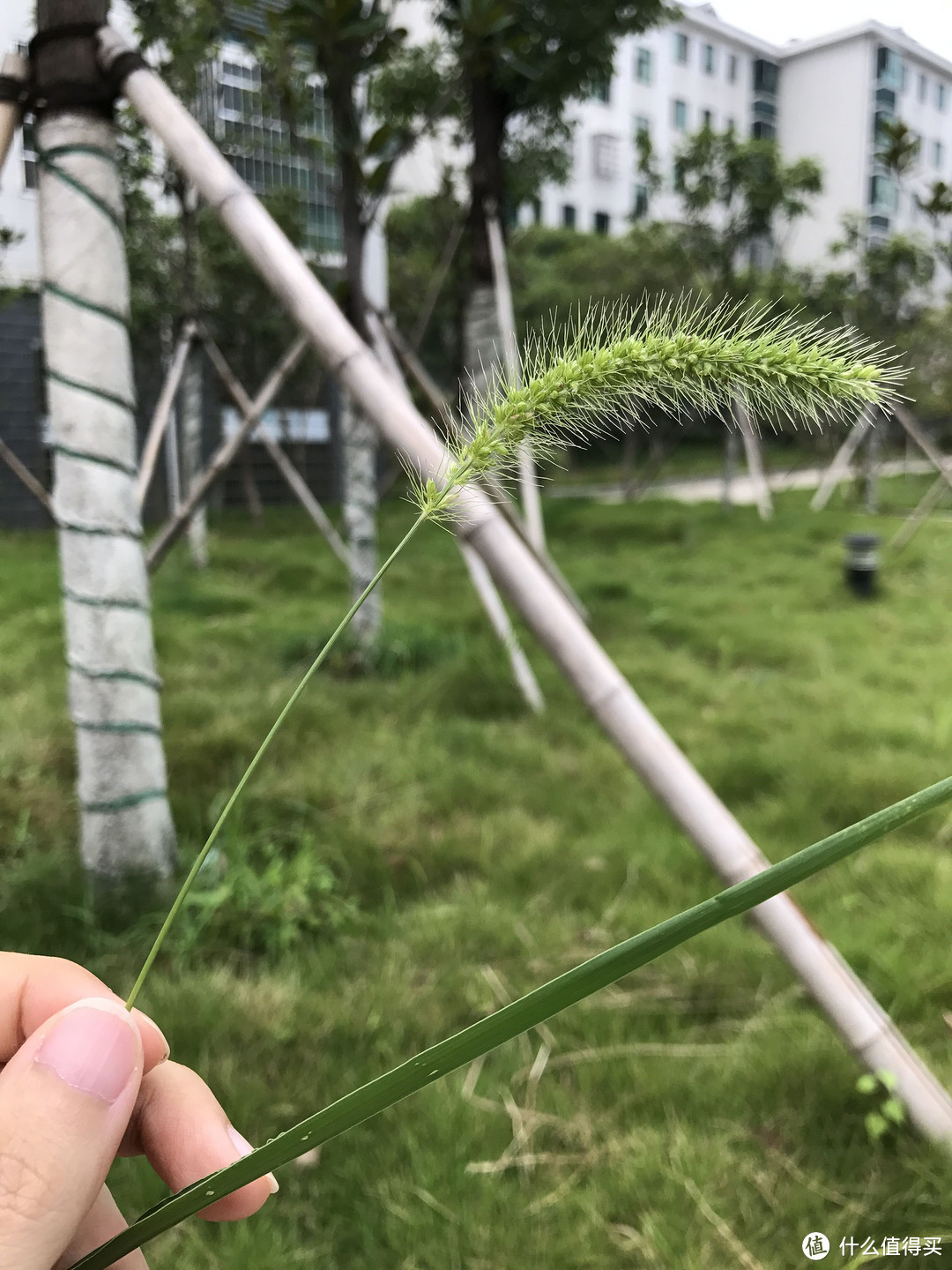 最终还是买了小屏旗舰—MI 小米 6 手机  使用体验