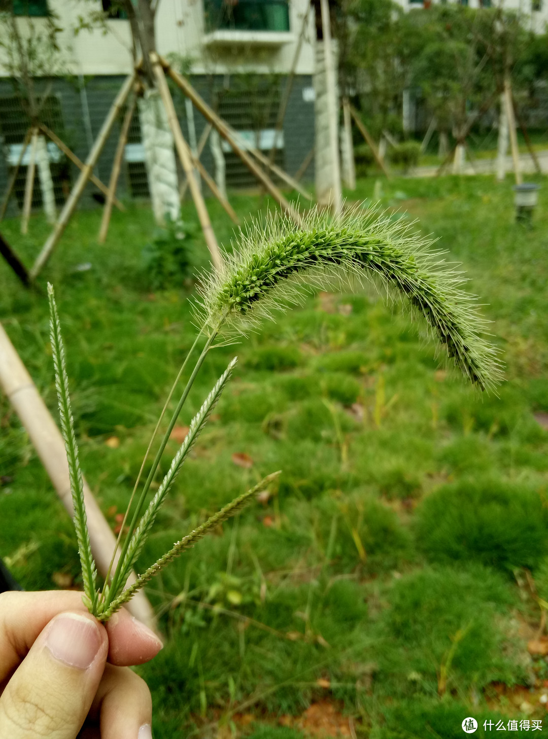 最终还是买了小屏旗舰—MI 小米 6 手机 使用体验