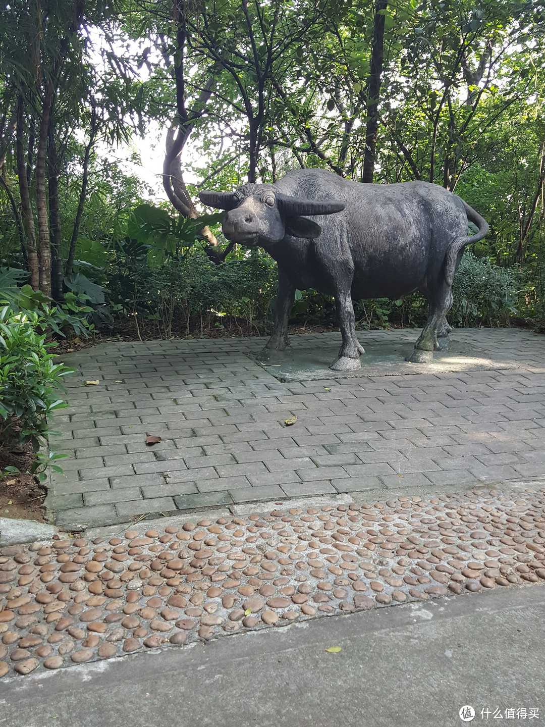 迟到的记录：2016年中秋顺德美食之旅