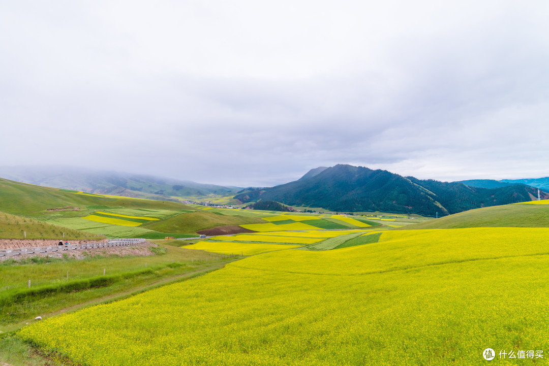 阴雨连绵的高原美景