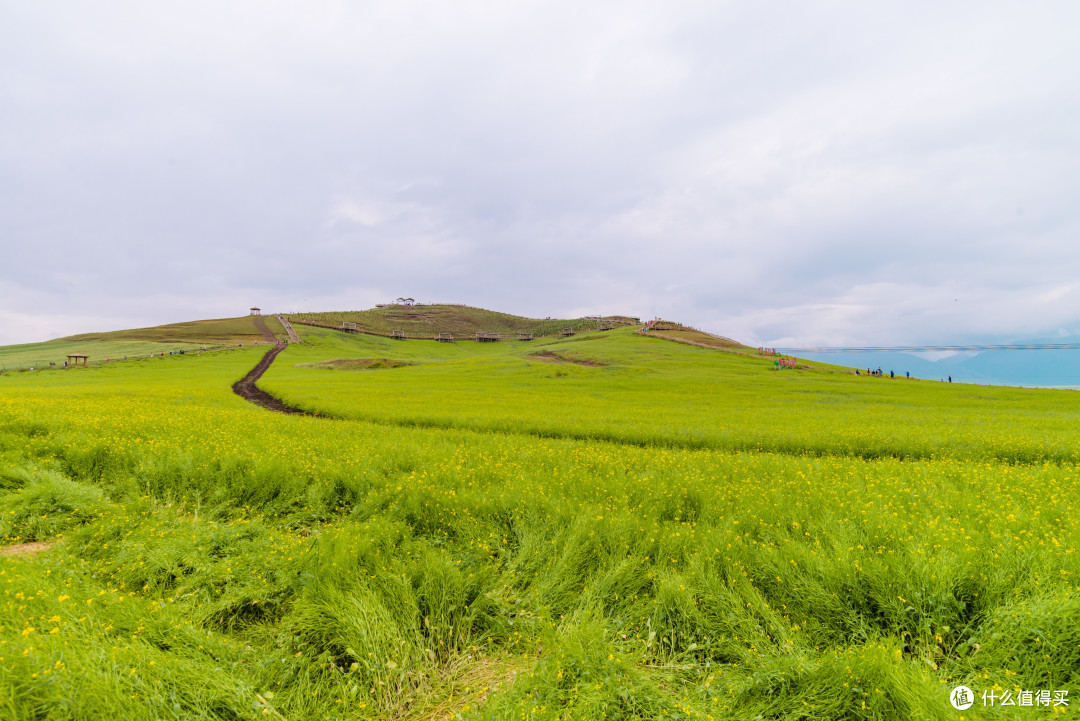 阴雨连绵的高原美景
