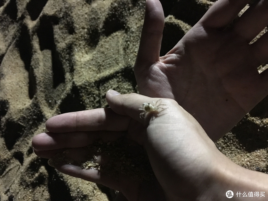 海棠湾沙滩