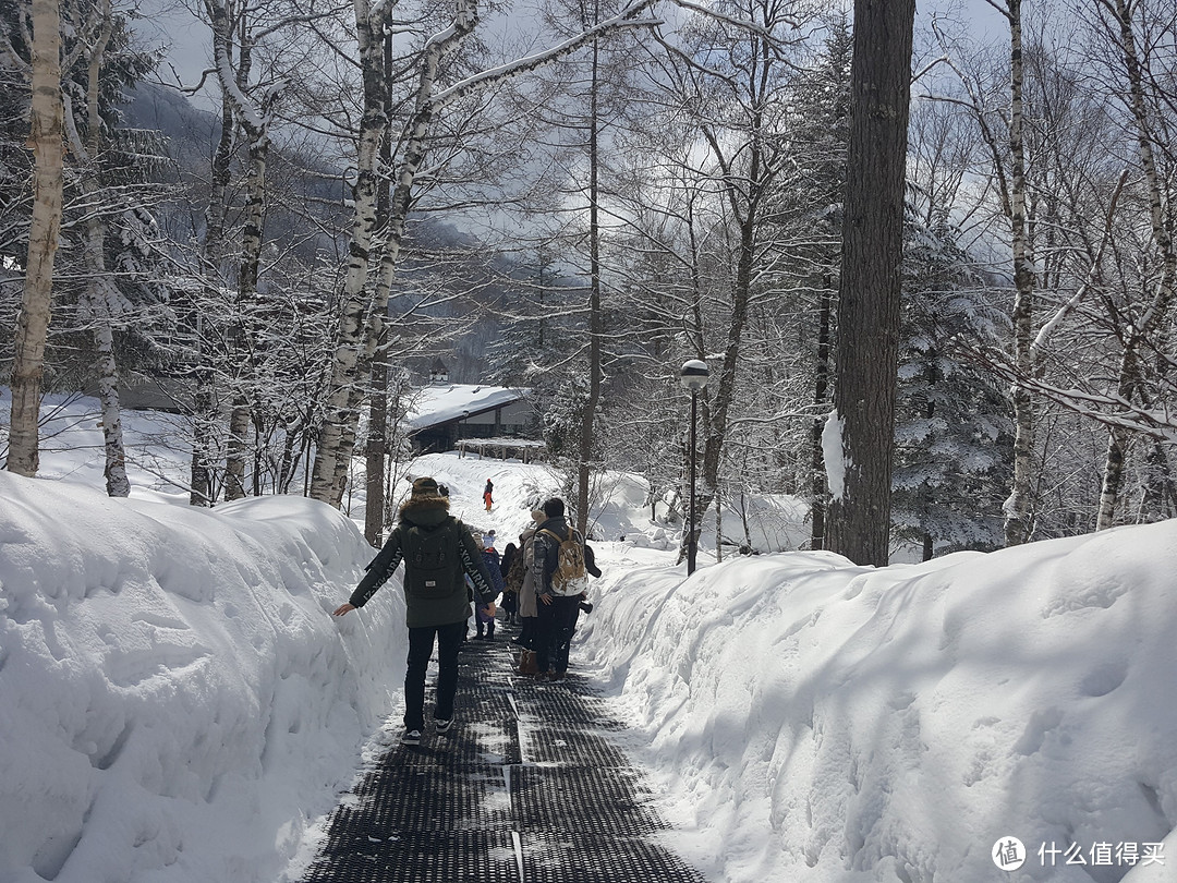 金泽，富山，平汤温泉，名古屋