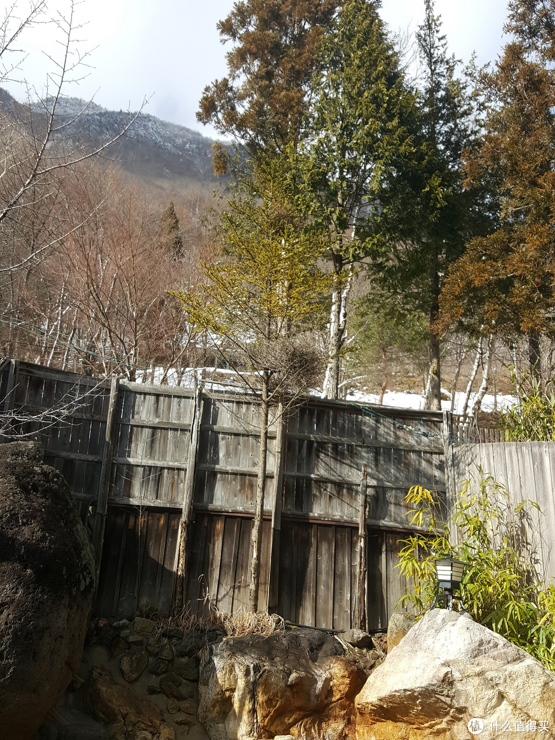 金泽，富山，平汤温泉，名古屋