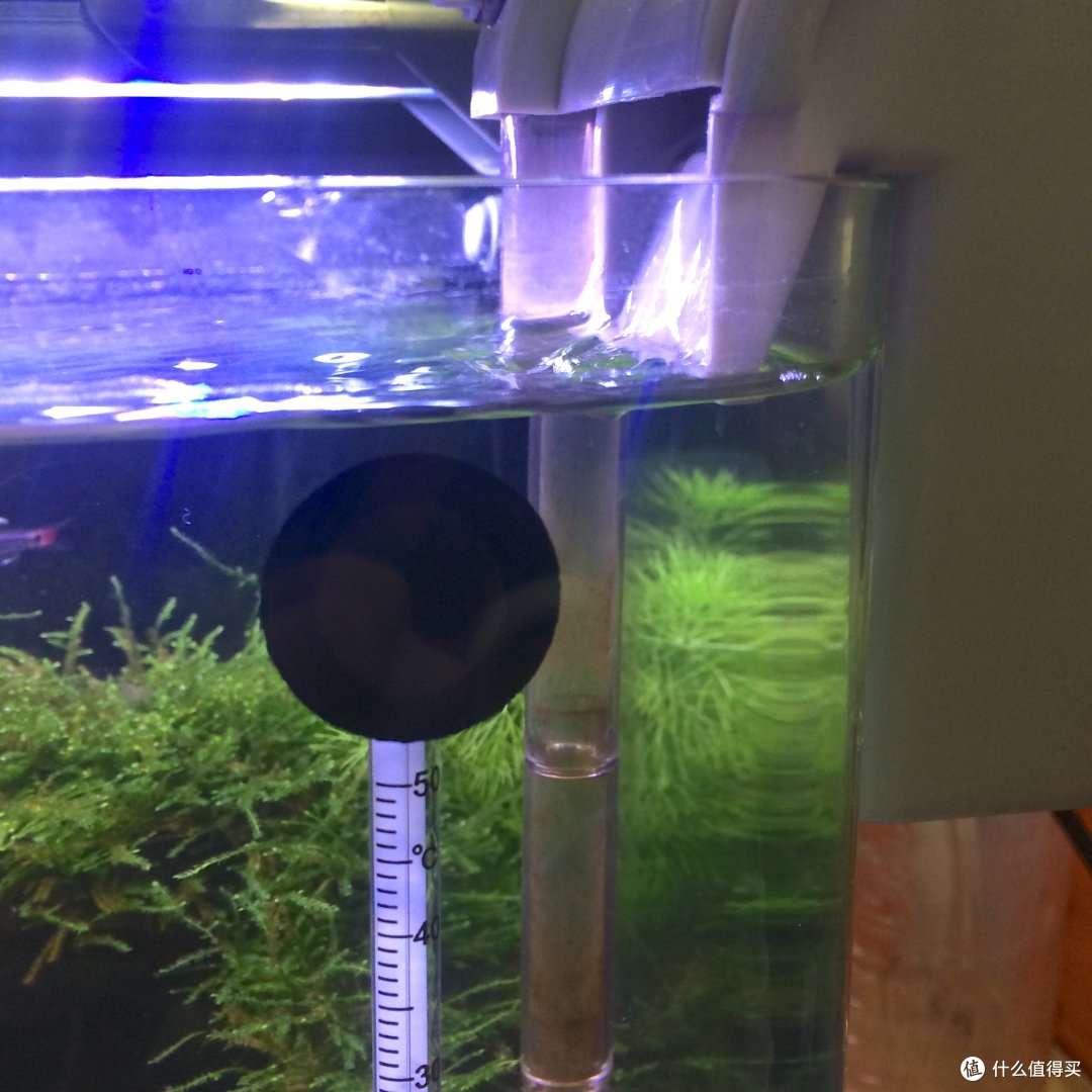 办公室经济水草缸怎么布置 如何制作办公室草缸 什么值得买 办公室经济水草缸怎么布置 如何制作办公室草缸 什么值得买