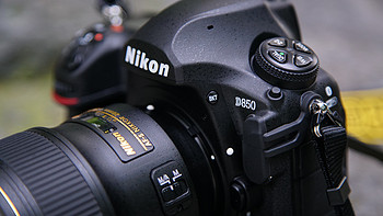 尼康 D850 单反相机使用体验(机型|闪光灯|翻转屏|触摸屏|对焦)