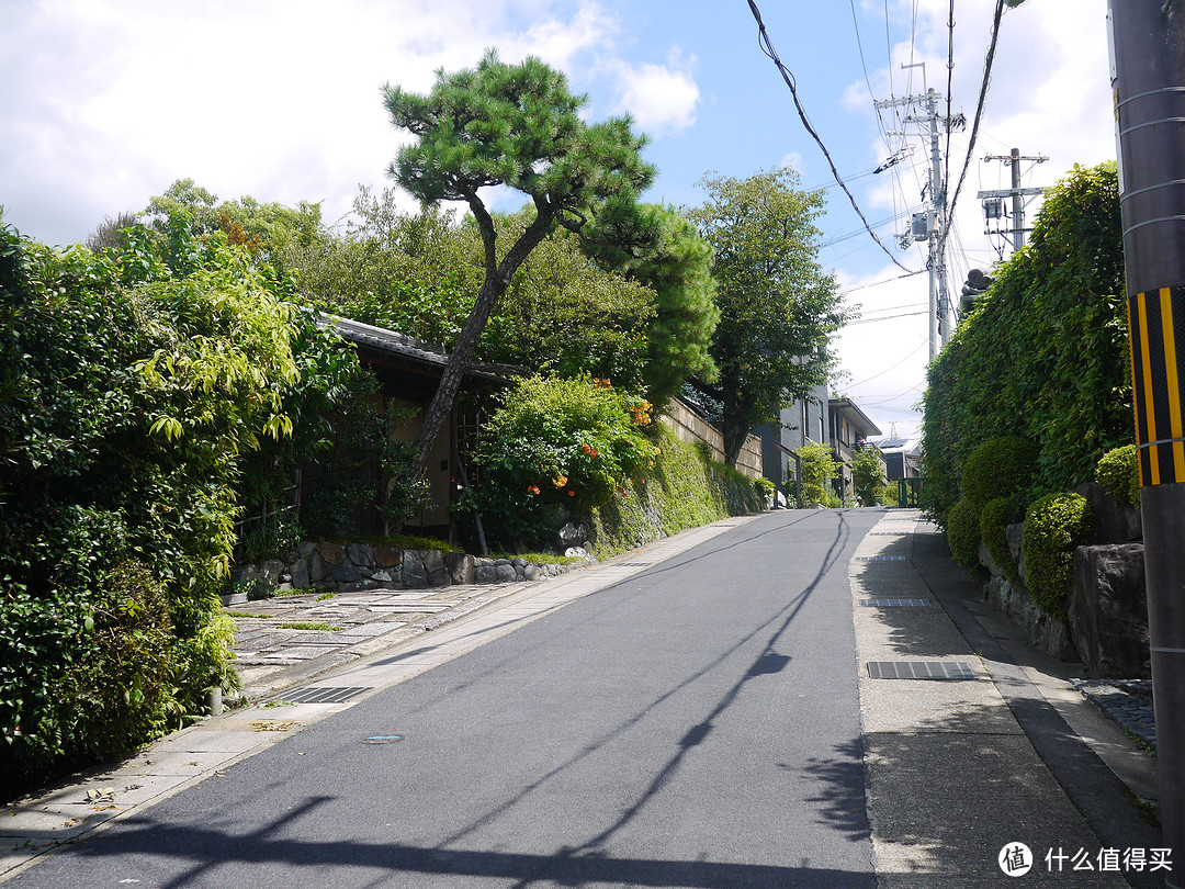 之京都伏见稻荷大社、宇治