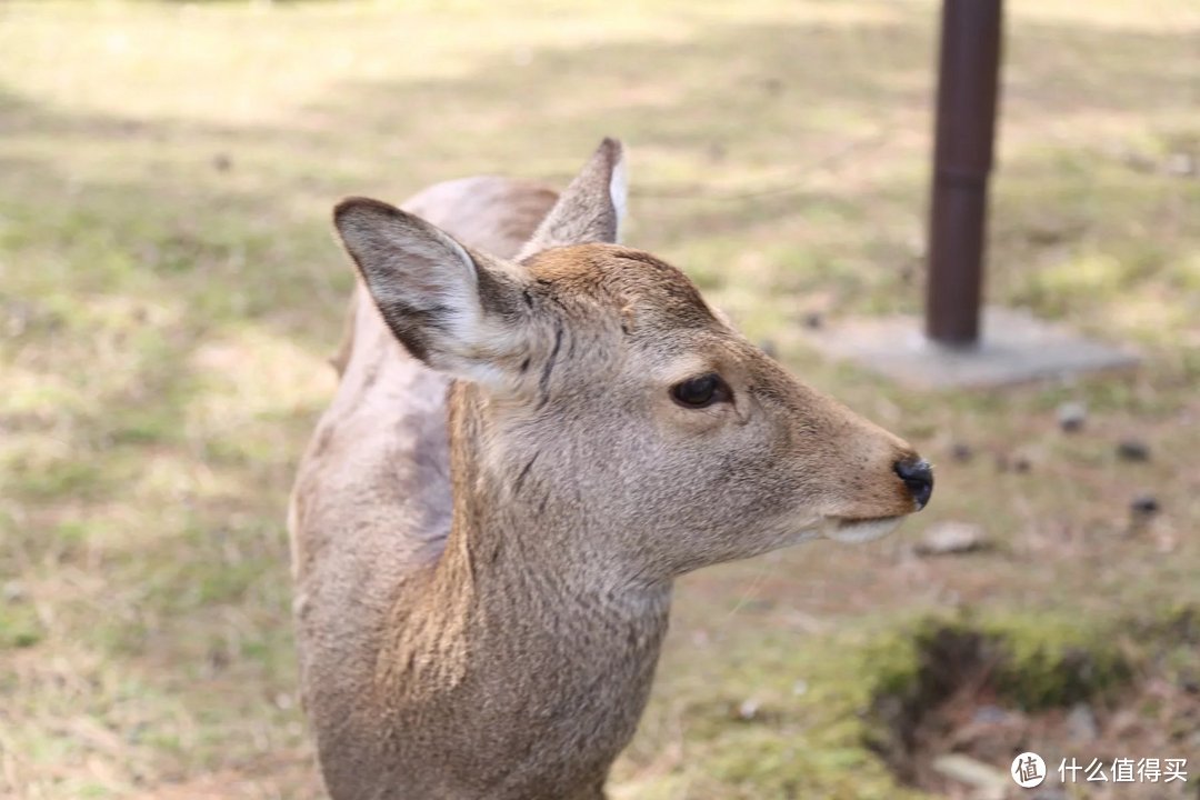 行程准备篇（护照、机票、住宿）