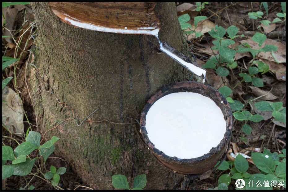 床垫怎么挑,才能有睡在云端般的感觉?