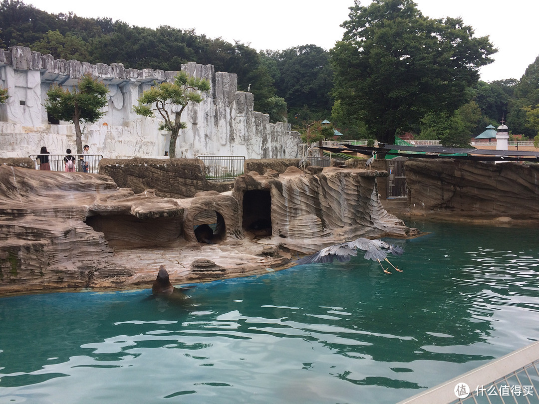 #原创新人#日本名古屋—伊豆半岛—富士山之行