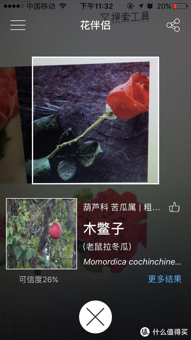 #热征#iPhone10年# 什么APP值得装？推荐优质好用APP — 总有一款你用得上！