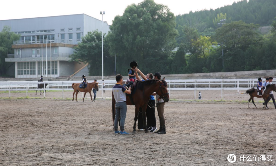 Mini白的兴趣班骑马体验