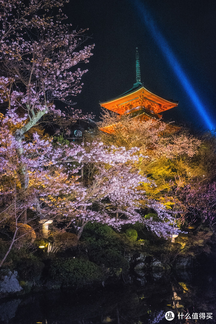 5000全包：樱花季7天6夜日本关西独行侠之旅