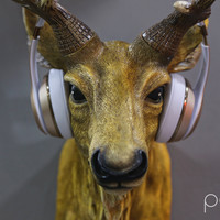 Beats Solo3 Wireless 耳机使用总结(蓝牙|音质|续航|舒适度)