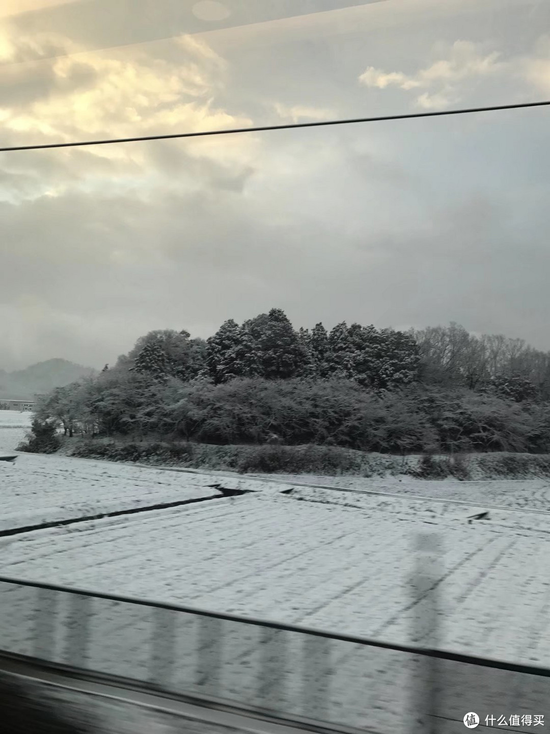 D8 哆啦A梦博物馆 台场之旅