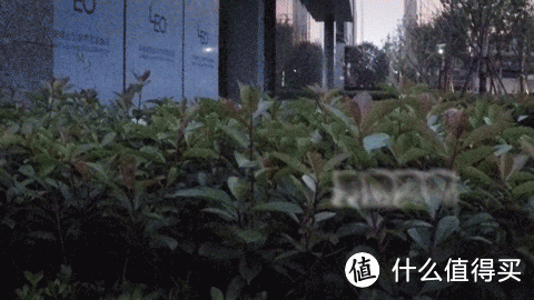 试了那么多网传方法,还是选择流着泪切洋葱吧