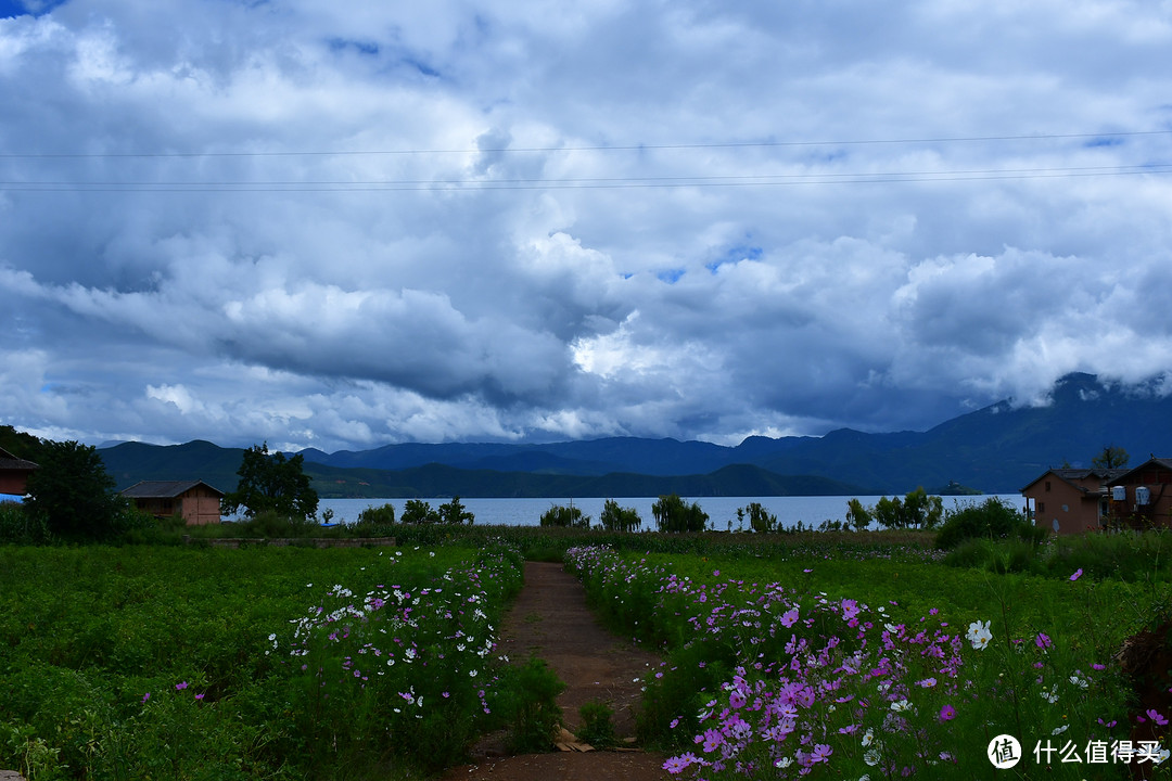 旅馆小路