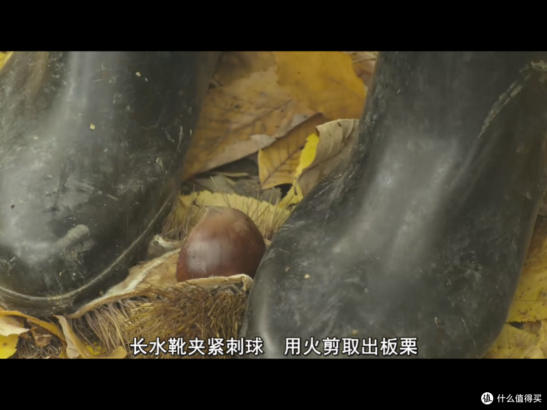 你需要补充一点精神食粮 — 那些熬夜我都要看完的电影(二)