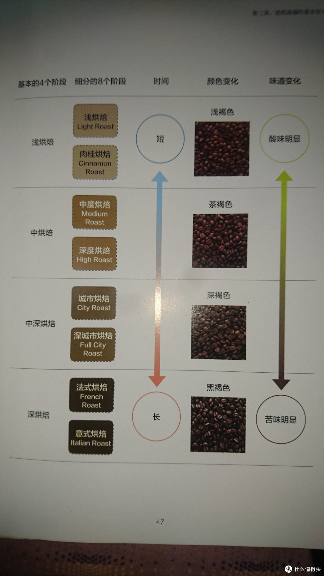 一入咖啡深似海！关于咖啡你必须知道的一些基础知识