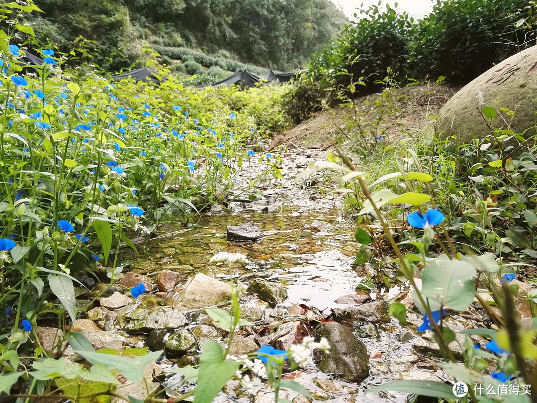 期待已久的全能户外跑鞋—Salomon 萨洛蒙 登山徒步鞋X ULTRA 3 评测报告