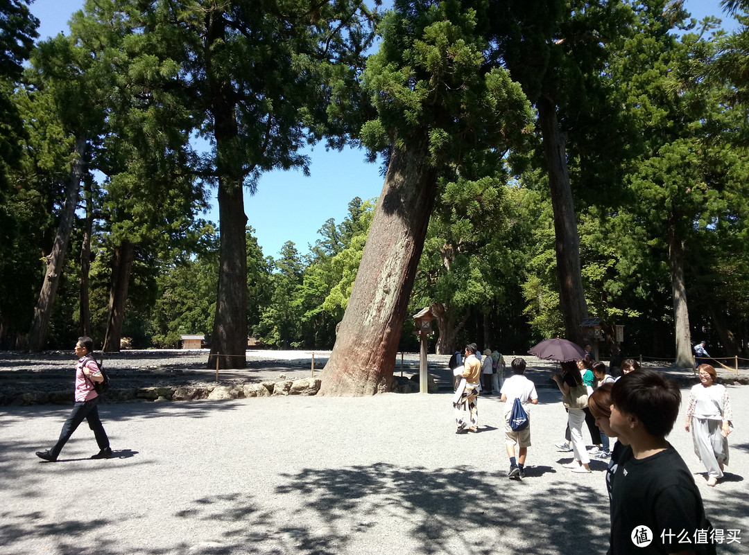 扶桑近畿东海地方讨伐之近畿日本铁道宇治山田（伊势）伊势神宫之行