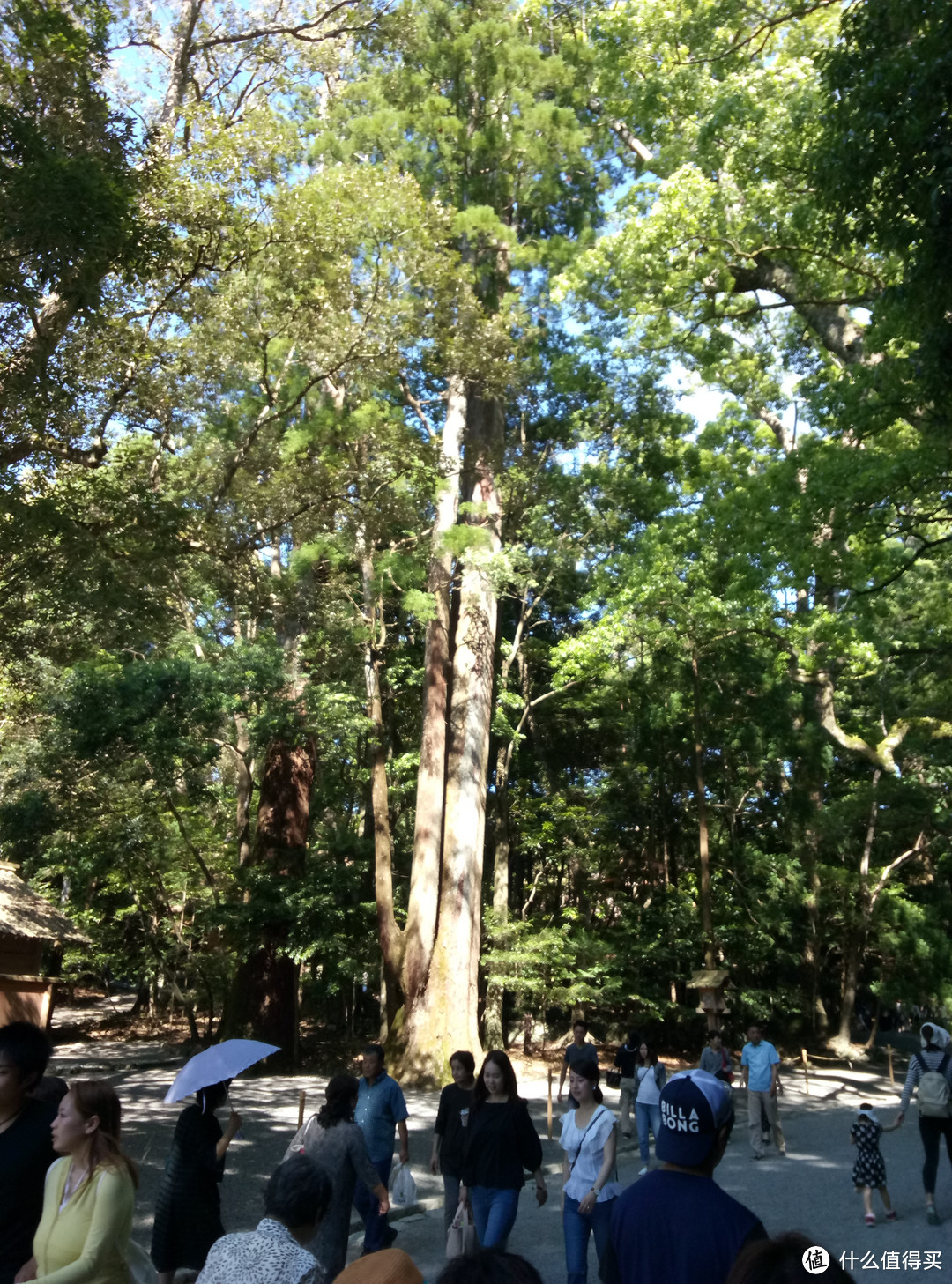 扶桑近畿东海地方讨伐之近畿日本铁道宇治山田（伊势）伊势神宫之行